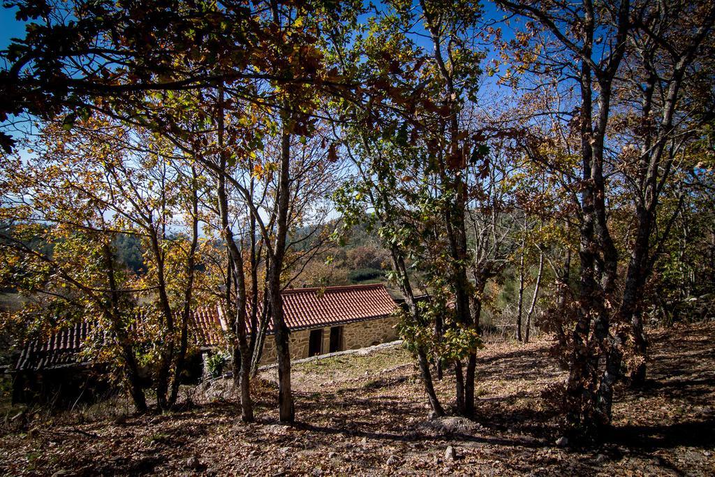 Penzion Casas Dos Avos Vale de Cambra Pokoj fotografie