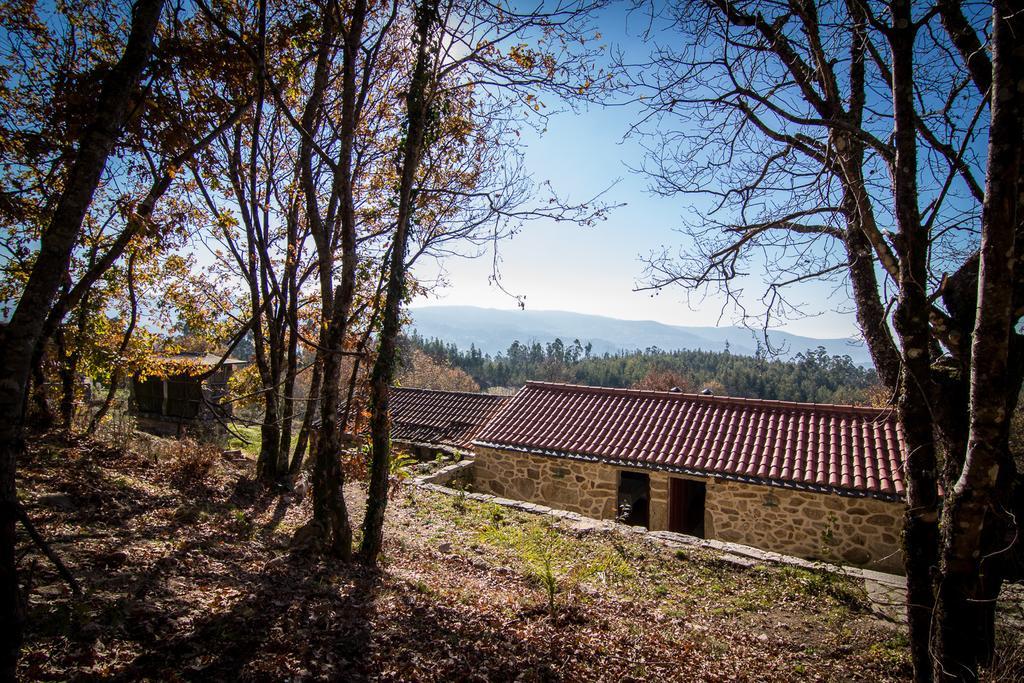 Penzion Casas Dos Avos Vale de Cambra Pokoj fotografie